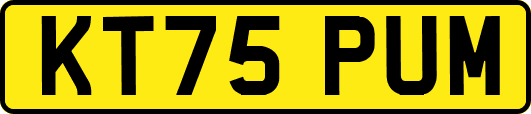 KT75PUM