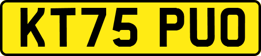 KT75PUO