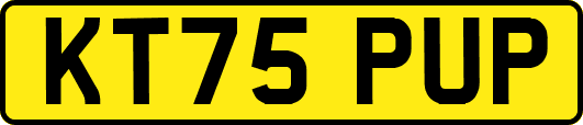 KT75PUP
