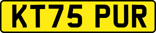 KT75PUR