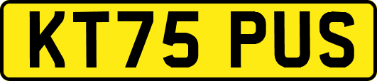 KT75PUS