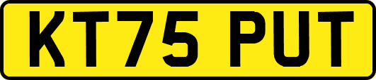KT75PUT