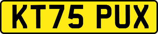 KT75PUX