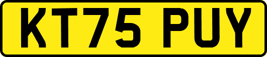 KT75PUY