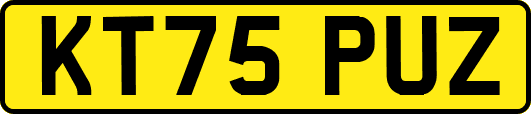 KT75PUZ