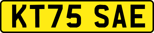 KT75SAE