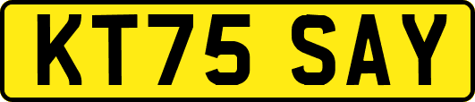 KT75SAY