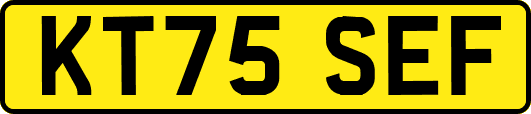 KT75SEF