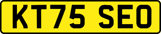 KT75SEO