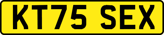 KT75SEX