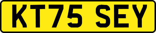 KT75SEY