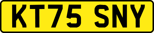 KT75SNY