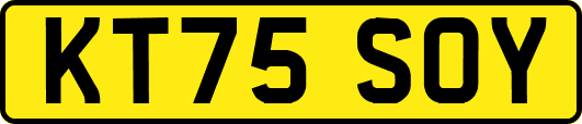 KT75SOY