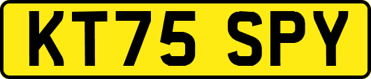 KT75SPY