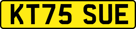 KT75SUE