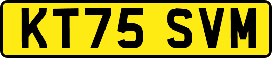 KT75SVM