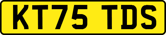 KT75TDS