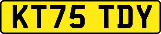 KT75TDY