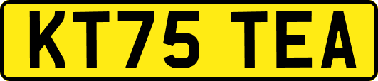 KT75TEA