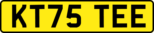 KT75TEE