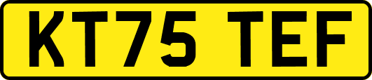 KT75TEF
