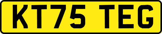 KT75TEG