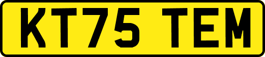 KT75TEM