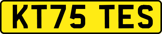 KT75TES