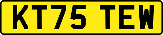 KT75TEW