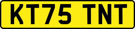 KT75TNT