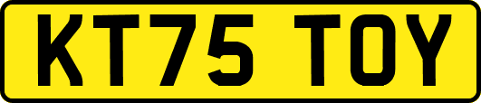 KT75TOY