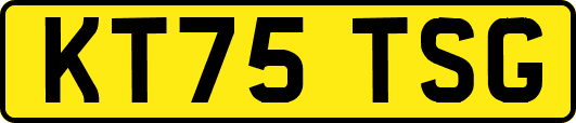 KT75TSG