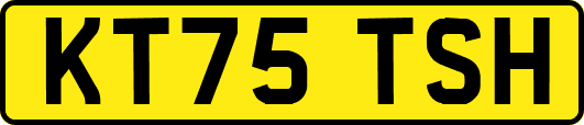KT75TSH