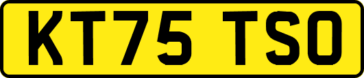 KT75TSO