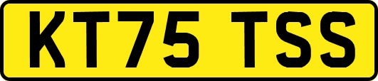 KT75TSS