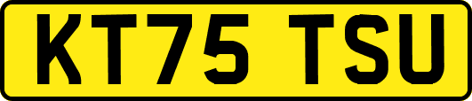 KT75TSU
