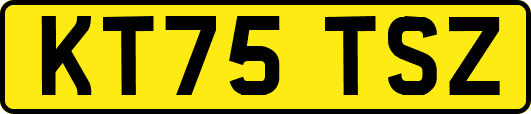 KT75TSZ