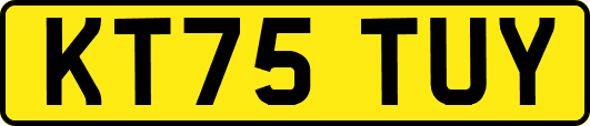 KT75TUY