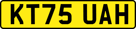 KT75UAH