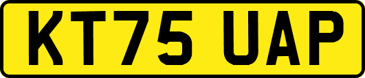 KT75UAP