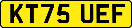 KT75UEF