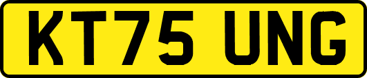 KT75UNG