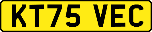 KT75VEC