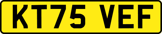 KT75VEF