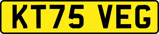 KT75VEG