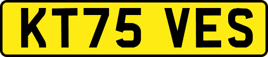 KT75VES