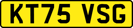 KT75VSG
