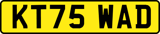 KT75WAD