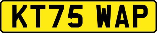 KT75WAP