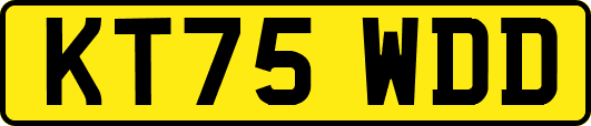 KT75WDD